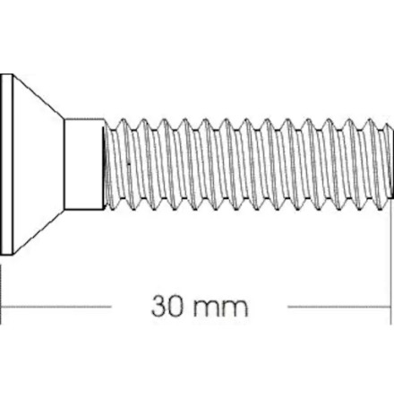 INSEXSKRUV  8X30 FRSNKT